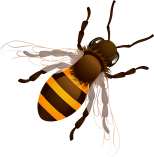 about-3-2-bee
