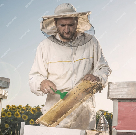 bee-image